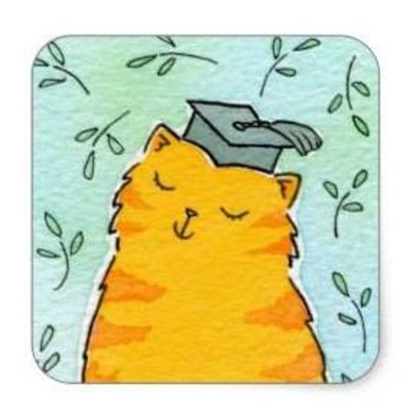 Meet your Posher, Candy - Picture 1 of 1